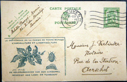 BELGIQUE  CARTE POSTALE PUBLICITAIRE ILLUSTREE  DORIPHORE POMMES DE TERRE FRITES  ENTIER POSTAL 1936  CACHETS ET FLAMMES - Collections & Lots