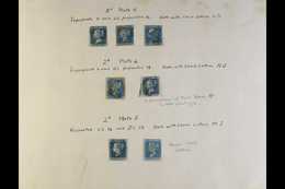 8222 1841-1855 TWOPENNY BLUE MATCHING PLATE PAIRINGS Used Collection On Old Album Page. With 1841 Plate 4 Imperf (two Sh - Other & Unclassified