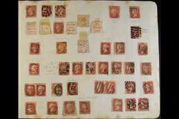 8260 1864-79 PENNY RED 'PLATES' OLDE TYME SPECIALISTS COLLECTION On Ancient Album Pages. An Attempt To Collect THREE Com - Other & Unclassified