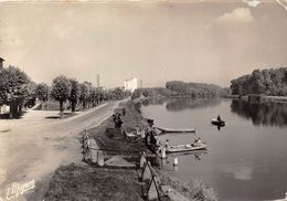 89-PONT-SUR-YONNE- BORDS DE L'YONNE - Pont Sur Yonne