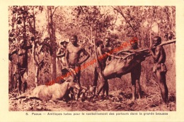 Paoua - Antilopes Tuées Pour Le Ravitaillement Des Porteurs Dans La Grande Brousse - Centrafricaine (République)