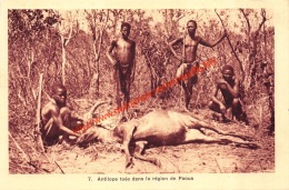 Antilope Tuée Dans La Région De Paoua - Centrafricaine (République)