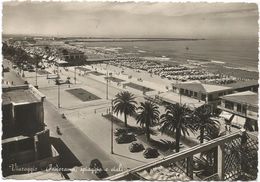 Z4449 Viareggio (Lucca) - Panorama Con Spiaggia E Viali - Auto Cars Voitures / Viaggiata 1950 - Viareggio