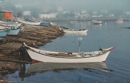 ST PIERRE ET MIQUELON 221C - San Pedro Y Miquelón