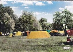 78-----SAINT ARNOULT EN YVELINES---le Camping--voir  2 Scans - St. Arnoult En Yvelines