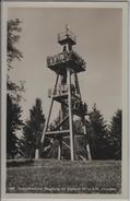 Aussichtsturm Homberg Bei Reinach Aargau - Animee - Photo: Globetrotter - Reinach