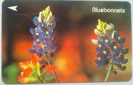 Delcampe - Singapore 32SIGD Bluebonnets $5 ( Flower) - Singapur