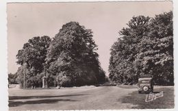 Chateauneuf-en-Thymerais. Le Calvaire Et L'entrée De La Forêt - Châteauneuf