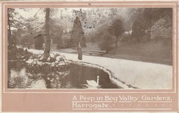 10966-HARROGATE-A PEEP IN BOG VALLEY GARDENS-19175-FP - Harrogate