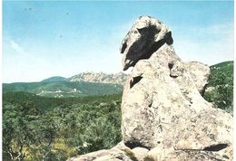 L'UCCELLO DI MONTE ARBU - Cagliari