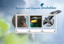 Nederland  2017   Vogels  Pelikaan Arend Bijeneter  Blok 2   Postfris/mnh/neuf - Nuevos