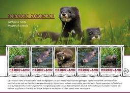 Nederland  2017  Bedreigde Dieren  Endangerd Species  5 Nerts - Mink  Sheetlet    Postfris/mnh/neuf - Neufs