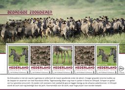 Nederland  2017  Bedreigde Dieren  Endangerd Species  7 Zebra   Sheetlet    Postfris/mnh/neuf - Nuevos
