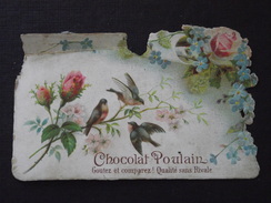 CHOCOLAT POULAIN - Oiseaux Sur Une Branche De Rosier - Ancienne Publicité Alimentaire - A Voir ! - Chocolat