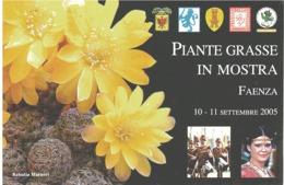 MOSTRA DI PIANTE GRASSE FAENZA 10-11 SETTEMBRE 2005 - Cactus