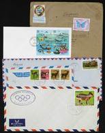 TOPIC ANIMALS, FAUNA Topic Animals, Fauna: 54 Covers/cards With Stamps Or Speci - Other & Unclassified