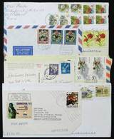 TOPIC FLOWERS, FLORA Topic Flowers, Flora: 85 Covers/cards With Stamps Or Speci - Andere & Zonder Classificatie