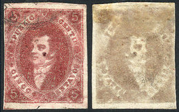 ARGENTINA GJ.34e, 8th Printing, Semi-clear And Very Oily Impression, IVORY HEAD - Unused Stamps