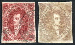 ARGENTINA GJ.34e, 8th Printing, IVORY HEAD Var. (very Oily Impression), Excelle - Unused Stamps