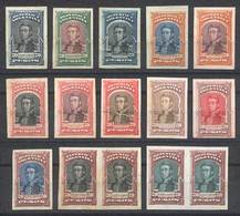 ARGENTINA G.315, 1910 20P. San Martín, TRIAL COLOR PROOFS, 11 Singles + 2 Pairs - Andere & Zonder Classificatie