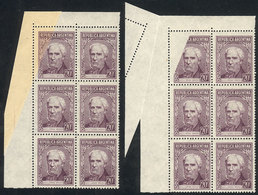 ARGENTINA GJ.1037, Corner Block Of 6 With Spectacular VARIETY: Pre-printing Pap - Andere & Zonder Classificatie