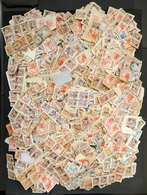 ARGENTINA Box With Thousands Of Official Stamps On Fragments, Completely Unchec - Dienstzegels