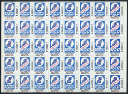 ARGENTINA SERVI PACK: Complete Sheet Of 20 Self-adhesive Stamps, Excellent Qual - Andere & Zonder Classificatie