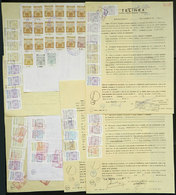 ARGENTINA CHACO: More Than 210 Revenue Stamps (also A Few Meter Revenue Stamps) - Otros & Sin Clasificación