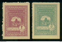 EGYPT / 1948 / KING FAROK DONATION TO SAVE PALESTINE / UNCER. 2 BONDS ( 2 & 5 P.T. ) - Palestina