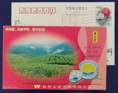 High Mountain Tea,Pollution-free & Organic Cultivation,China 2000 Fujian Wenwu Tea Garden Advertising Pre-stamped Card - Autres & Non Classés