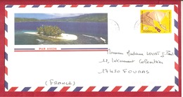 Y&T N°628 PUNARIA     Vers FRANCE 2001 - Storia Postale