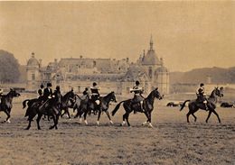 60-SENLIS- LA CHASSE A COURRE- Lot De 8 Cartes - Senlis