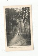 Cp, 86 , POITIERS , Vierge , L'automne Au Parc De Blossac - Poitiers