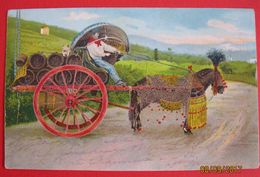 Caretto Di Vino, Vine Transport 1908 - Weinberge