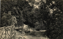 Bleicherode, Partie Am Kuhbrunnen, Um 1915 - Bleicherode