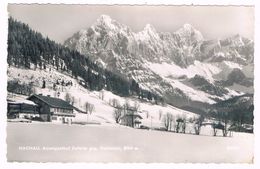 Ö-3443   HACHAU : Alpengasthof Zeferer - Ried Im Innkreis