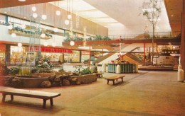 Minneapolis Minnesota, Southdale Shopping Center Interior View, Garden Court C1950s/60s Vintage Postcard - Minneapolis