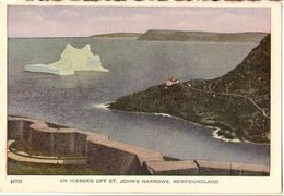 An Iceberg Off St John's Narrows -newfoundland-cpsm - St. John's