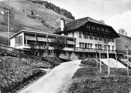 74-MEGEVE- CHALET  " LE CHRISTOMET " - Megève