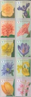 Belgique 2016 COB 4653 - 4662 Neuf ** Cote (????) ?.?? Euro Fleurs - Unused Stamps