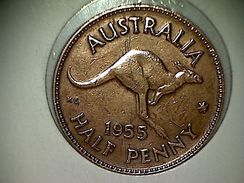 Australie 1/2 Penny 1955 - ½ Penny