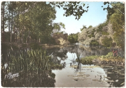 89 - Flogny - Les Bords De L'Armançon - Editions De Luxe E. Mignonn° 4545 (non Circ.) - Flogny La Chapelle