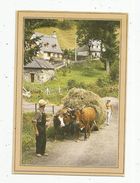 Cp, Agriculture , Attelage De Boeufs Améne Le Char De Foin à La Grange , Voyagée 1991 , Ed : Bos - Attelages