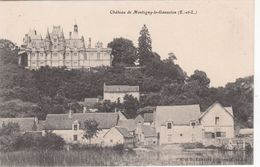 Cp , 28 , MONTIGNY-le-Gannelon , Château - Montigny-le-Gannelon