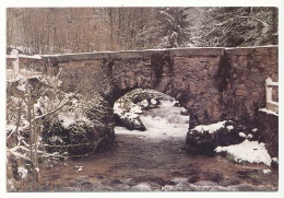 Pont Sur La Meurthe Au Rudlin - Confiserie Claudepierre Frères à Habeaurupt - Plainfaing