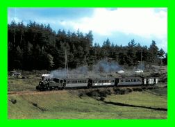 Théme Trains -   Voies Ferrees Du Velay -  Entre Raucoules Et Tence  ( Scan Recto Et Verso) - Trains