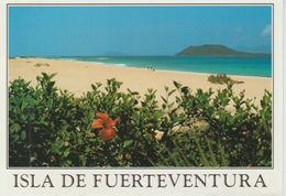 (CANA1164) FUERTEVENTURA. PLAYA DE CORRALEJO - Fuerteventura