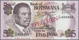 00330 Botswana: 5 Pula 1992 Specimen P. 11s In Condition: UNC. - Botswana