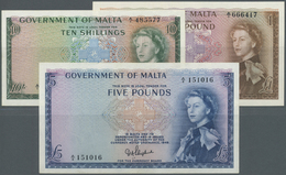 01659 Malta: Small Set With 3 Banknotes Series 1963 With 10 Shillings In AUNC With A Few Minor Creases In The Paper , 1 - Malte