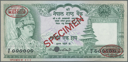 01778 Nepal: 100 Rupees 1981 Specimen P. 34s, A Corner Fold, Condition: AUNC. - Népal